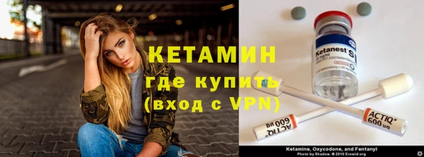 прущие грибы Белокуриха