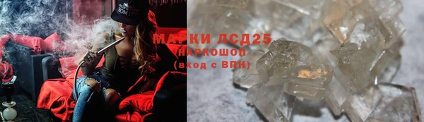 прущие грибы Белокуриха