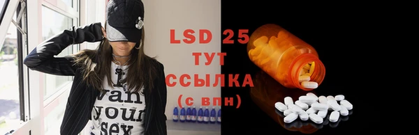 индика Белоозёрский