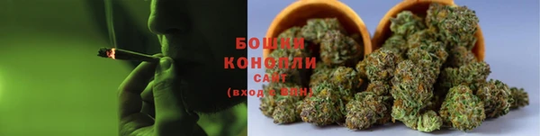 индика Белоозёрский