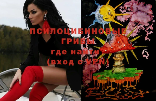 индика Белоозёрский