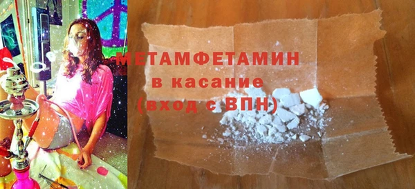 прущие грибы Белокуриха