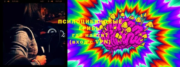 индика Белоозёрский