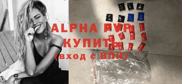 прущие грибы Белокуриха