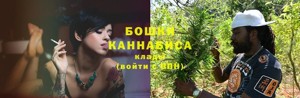 индика Белоозёрский