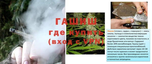 индика Белоозёрский
