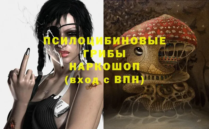 Галлюциногенные грибы Magic Shrooms  наркотики  Гремячинск 